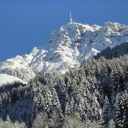 Near Hochzillertal Lift 아파트 유던스